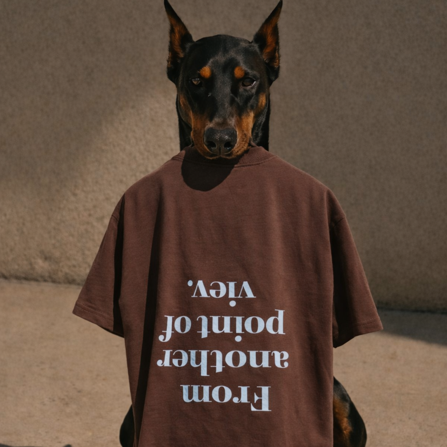 ADARA “Perspective” Oversized Tee – Chocolate